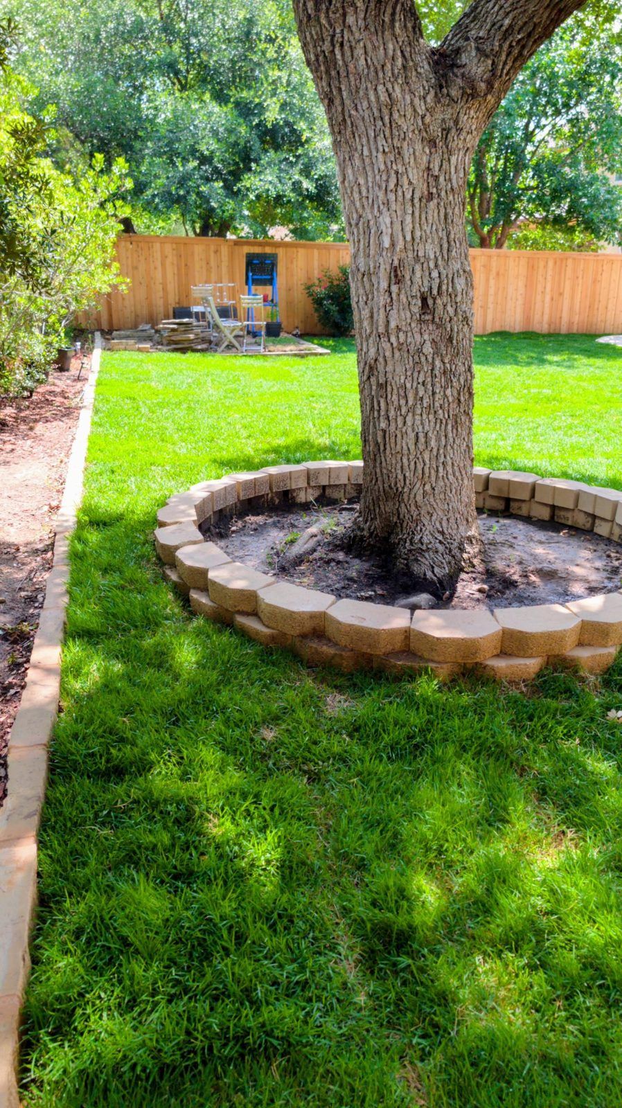 After: full green sod around the shade tree, with a stacked-block tree ring and a new cedar fence
