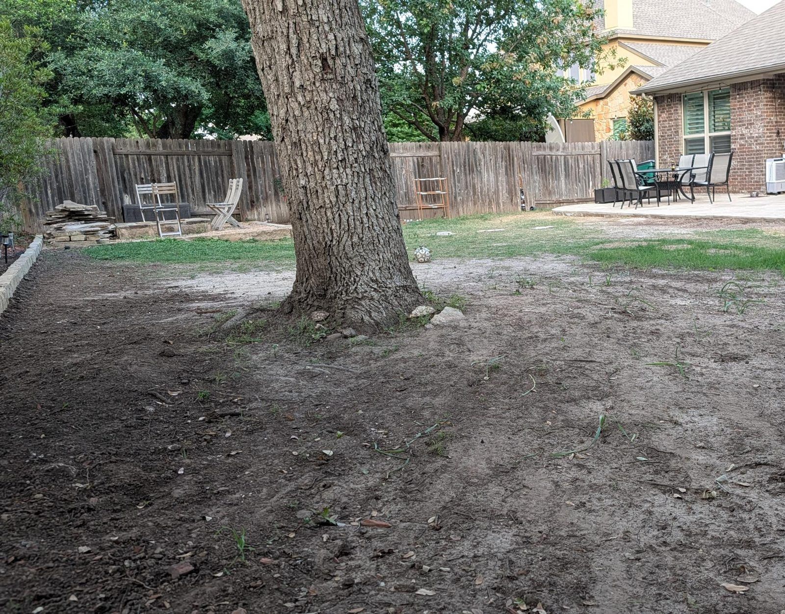 Before: bare, compacted dirt around a shade tree with patchy grass